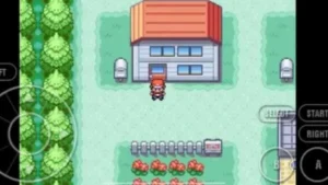 Pokemon Fire Red Version 4