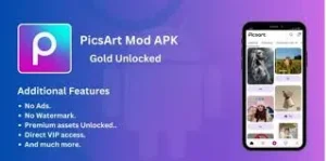 Picsart Theartpics 2